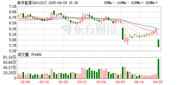 实盘股票配资公司 林洋能源4月28日龙虎榜数据