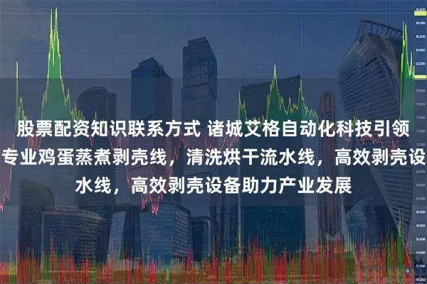 股票配资知识联系方式 诸城艾格自动化科技引领鸡蛋加工行业，专业鸡蛋蒸煮剥壳线，清洗烘干流水线，高效剥壳设备助力产业发展